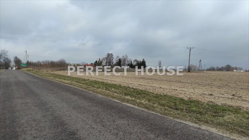 działka na sprzedaż 10000m2 działka Rumianek