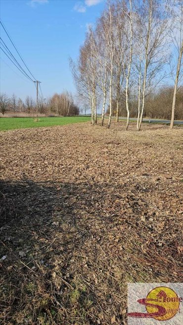 Działka inwestycyjna 10 972 m² z mediami, blisko centrum działka Zwoleń