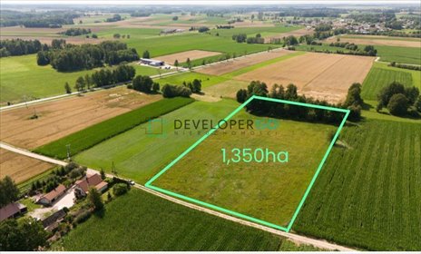 działka na sprzedaż 13500m2 działka Płonka Kościelna