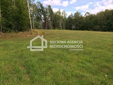 działka na sprzedaż 11811m2 działka Skrzeszewo Żukowskie