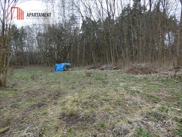 Działka rolno-leśna 7360m² blisko jeziora i plaży działka Józefowo