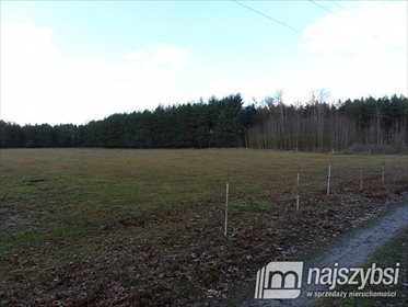 Działka rolna na sprzedaż Ininka, Centrum 39 143m2 Foto 4