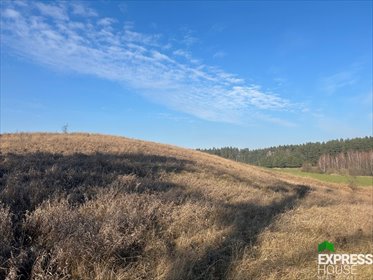 działka na sprzedaż 4100m2 działka Panistruga