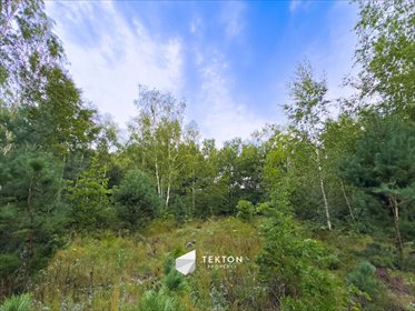 działka na sprzedaż 31100m2 działka Janinów, Szkocka