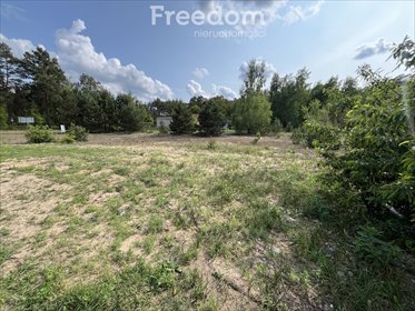działka na sprzedaż 1000m2 działka Czarne Błoto