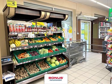 Na sprzedaż przestronny lokal 385 m² z dużą działką i stałym dochodem lokal użytkowy Rożental