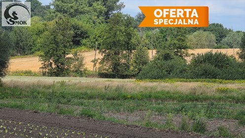 Działki rolne w Krakowie - zapraszam działka Kraków, Nowa Huta, Kościelniki