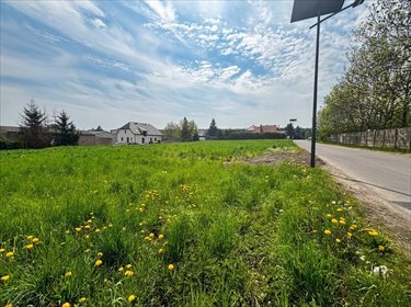 Zapraszam do obejrzenia przestronnej działki 2800 m² w Grodzisku działka Grodzisko