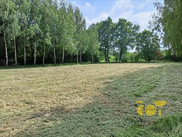 Działka budowlana na sprzedaż Słomczyn, Wilanowska 2 444m2 Foto 3