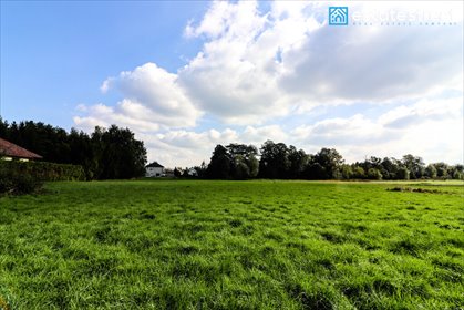 działka na sprzedaż 800m2 działka Cholerzyn