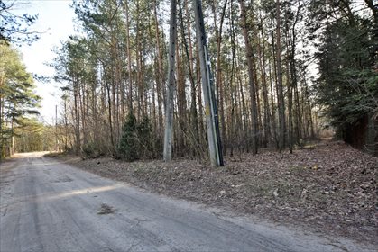 Działka leśna z prawem budowy na sprzedaż Nowy Świat 2 770m2 Foto 2