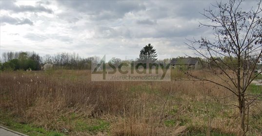 Działka 26 900 m² z mediami - Halinów - plan MN działka Halinów