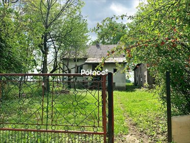 Dom z dużą działką i zabudowaniami gospodarcymi. dom Podlesice