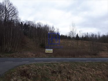 Działka budowlana na sprzedaż Kościelniki Górne 2 789m2 Foto 6