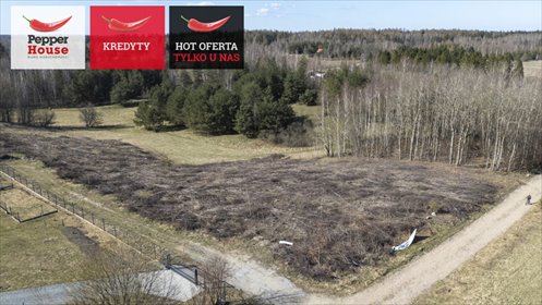 działka na sprzedaż 3000m2 działka Michalin