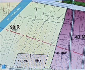 działka na sprzedaż 14854m2 działka Kazimierz Dolny, Cholewianka, Słoneczna