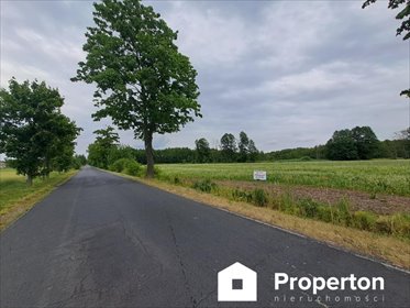 Działka budowlana 1500 m² w Olszówce – spokojna okolica działka Olszówka, Lipowa