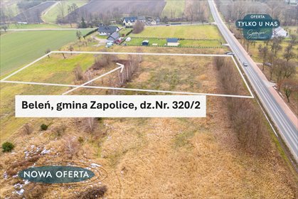 działka na sprzedaż 4000m2 działka Beleń-Kolonia