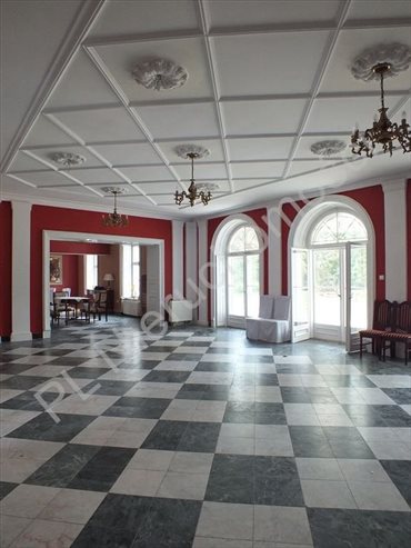 Dom na sprzedaż Drwalew 3 500m2 Foto 2