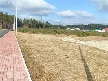 działka na sprzedaż 78513m2 działka Tomaszów Lubelski, Tomaszów Lubelski