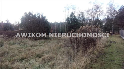 Działka 5600 m² w lesie, blisko autostrady A2 - polecam działka Antoniew