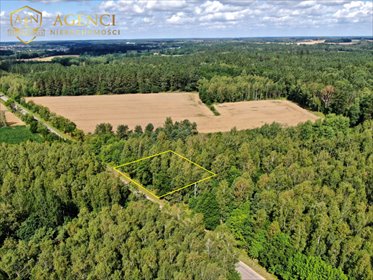 Działka 3445 m² z warunkami zabudowy, las, asfalt działka Zabłudów