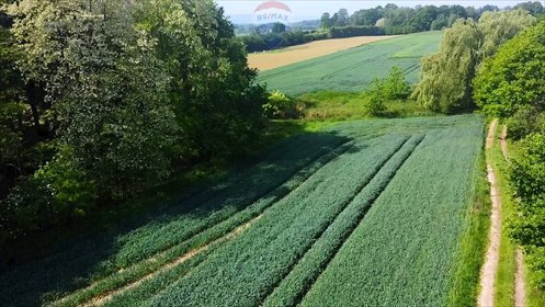 działka na sprzedaż 40038m2 działka Gierałtowice, Turystyczna