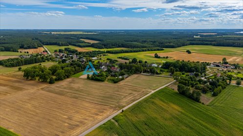 działka na sprzedaż 55440m2 działka Lisewo