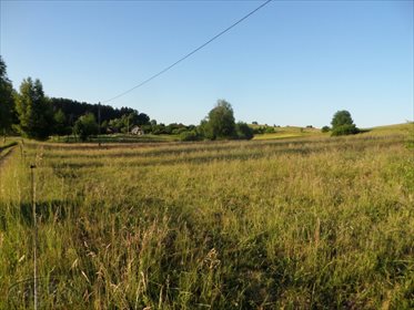 Działka rolna na sprzedaż Stare Kawkowo 3 206m2 Foto 2