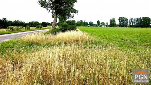 Działka 3000 m² w Trzebieszewie, media w drodze - polecam! działka Trzebieszewo