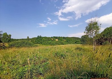 Działki budowlane w Olszance, 1392 m², blisko Gdańska działka Olszanka