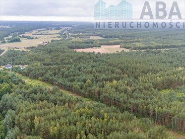 Działka rolna 13,9 ha z lasem i stawami - polecam! działka Obory