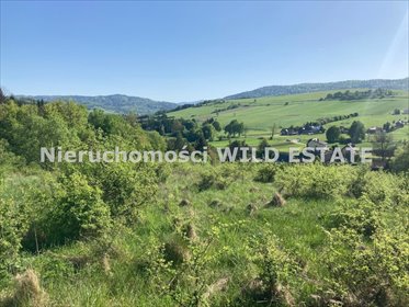 działka na sprzedaż 12500m2 działka Baligród, Mchawa