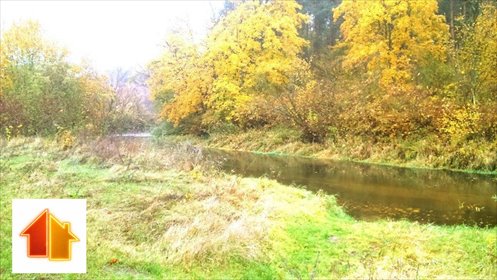 działka na sprzedaż 25000m2 działka Parzeń