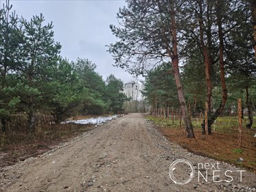 działka na sprzedaż 1000m2 działka Czarny Las