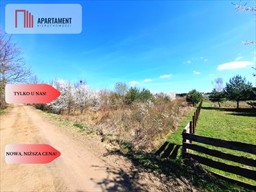 Działka 3260 m² z mediami i warunkami zabudowy (Morzerwiec) działka Morzewiec