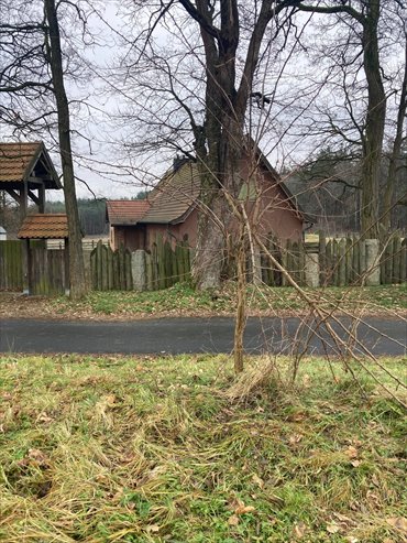 Działka z pozwoleniem na budowę, las, blisko Wrocławia działka Gola Wielka