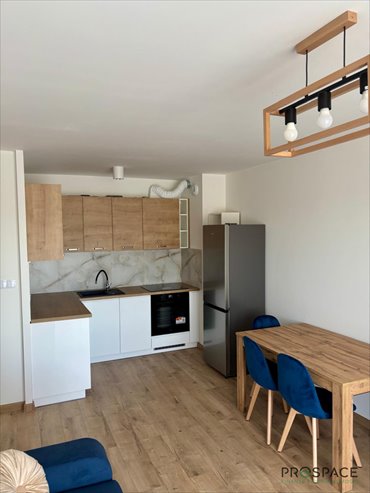 mieszkanie na wynajem 40m2 mieszkanie Zielona Góra, Łężyca-Ciesielska