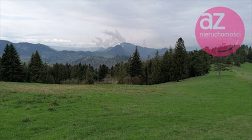 Malownicza działka rolna (18,3 ar) z widokiem na góry działka Szczawnica