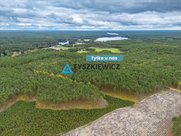 działka na sprzedaż 91400m2 działka Płęsno