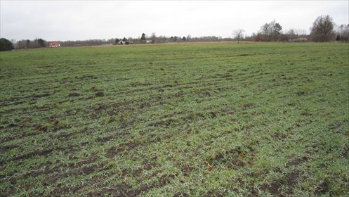 Działka inwestycyjna 877 m² w Śmiechowie polecam! działka Śmiechów