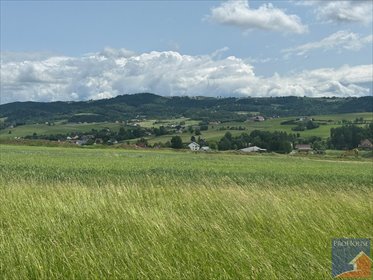 działka na sprzedaż 1200m2 działka Męcina