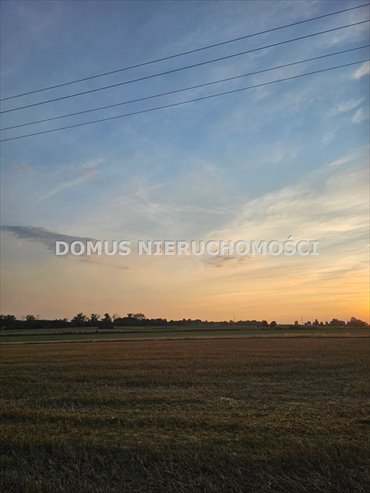 działka na sprzedaż 3000m2 działka Tworzyjanki