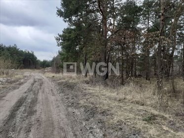 działka na sprzedaż 11250m2 działka Myszków, Piękna