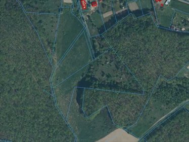 działka na sprzedaż 15202m2 działka Chełmiec, Chełmiec