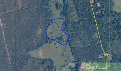 Działka rolna 81 800 m² w Puszczy Goleniowskiej działka Goleniów