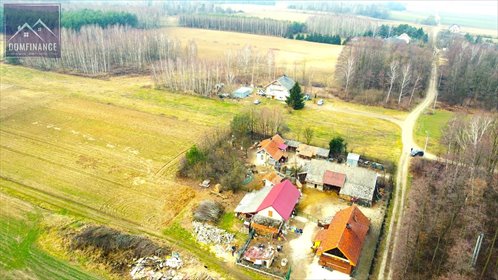 Działka budowlana na sprzedaż Żelazówka 5 900m2 Foto 3