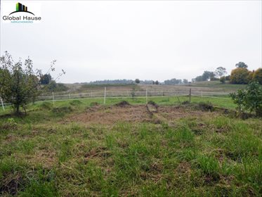 Działka rolna na sprzedaż Królowa Wola 28 400m2 Foto 4