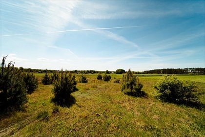 działka na sprzedaż 1346m2 działka Kamiennik, Atrakcyjna działka w Puszczy Noteckiej