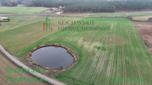 działka na sprzedaż 3032m2 działka Trzcińsk